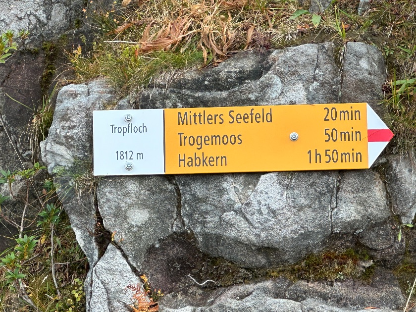 Photo of the hike Sibe Hängste-Seefeld