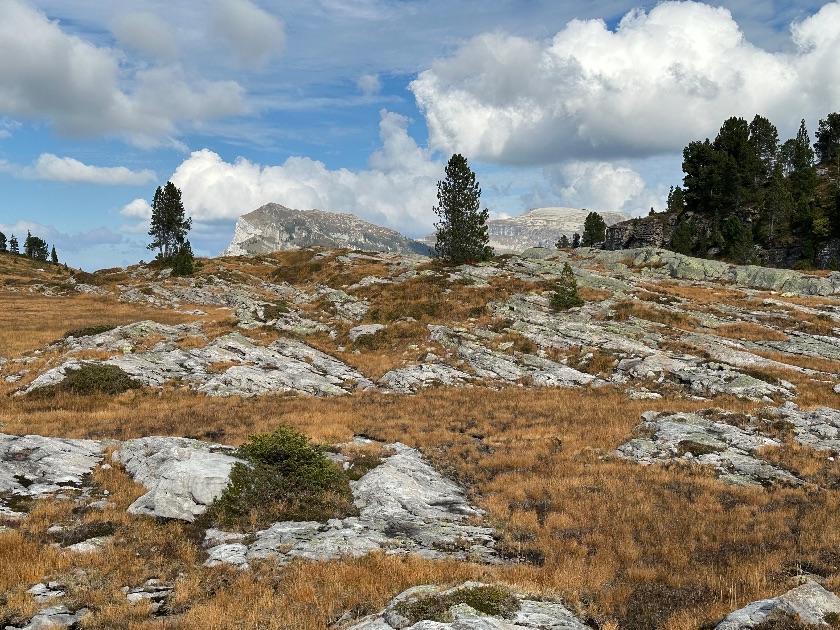 Photo of the hike Sibe Hängste-Seefeld