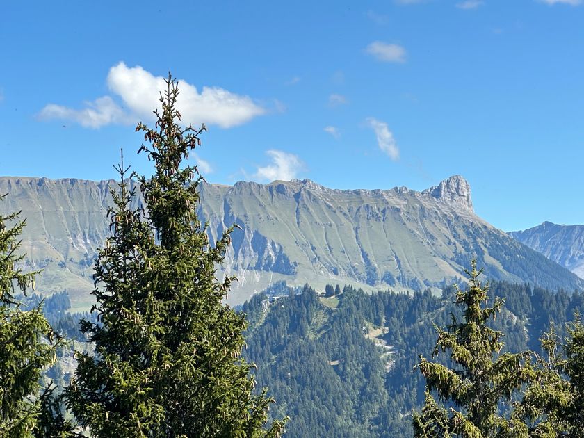 Wanderung Rämisgummen-Wachthubel