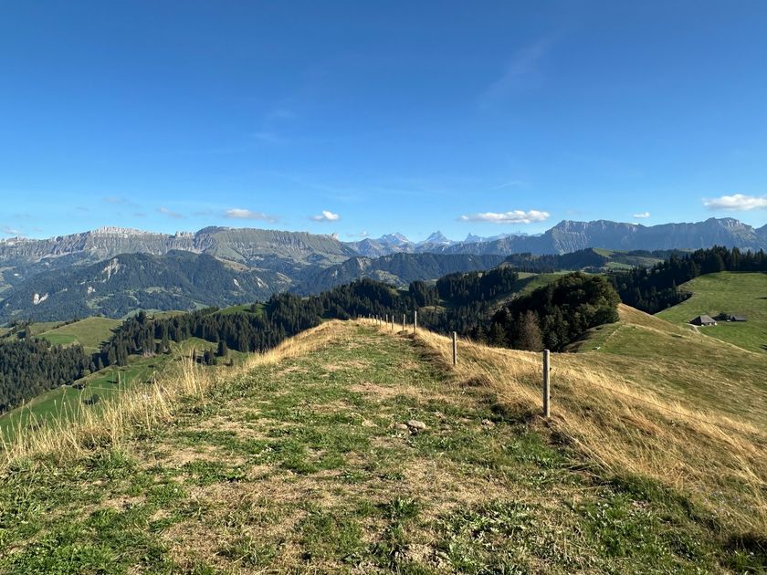 Sicht vom Rämisgummen