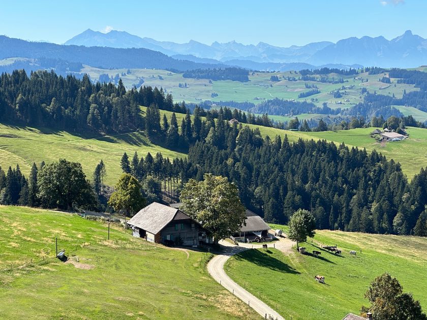 Alp Rämisgummen