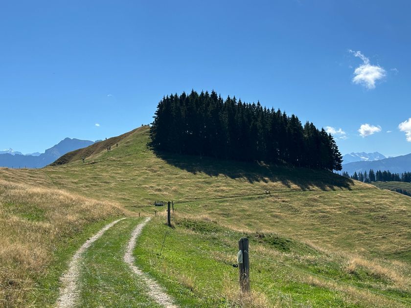 Rämisgummenhoger