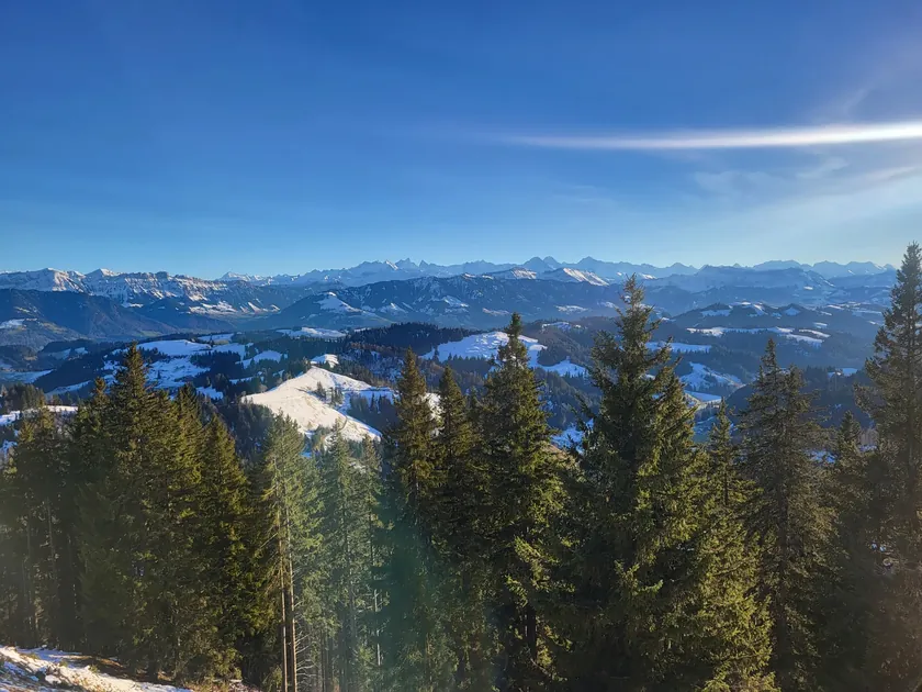Wanderung Mettlenalp - Napf - Mettlenalp