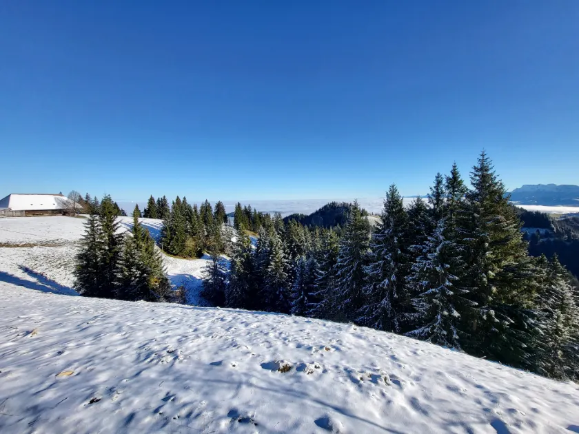 Bild zur Wanderung Mettlenalp - Napf - Mettlenalp