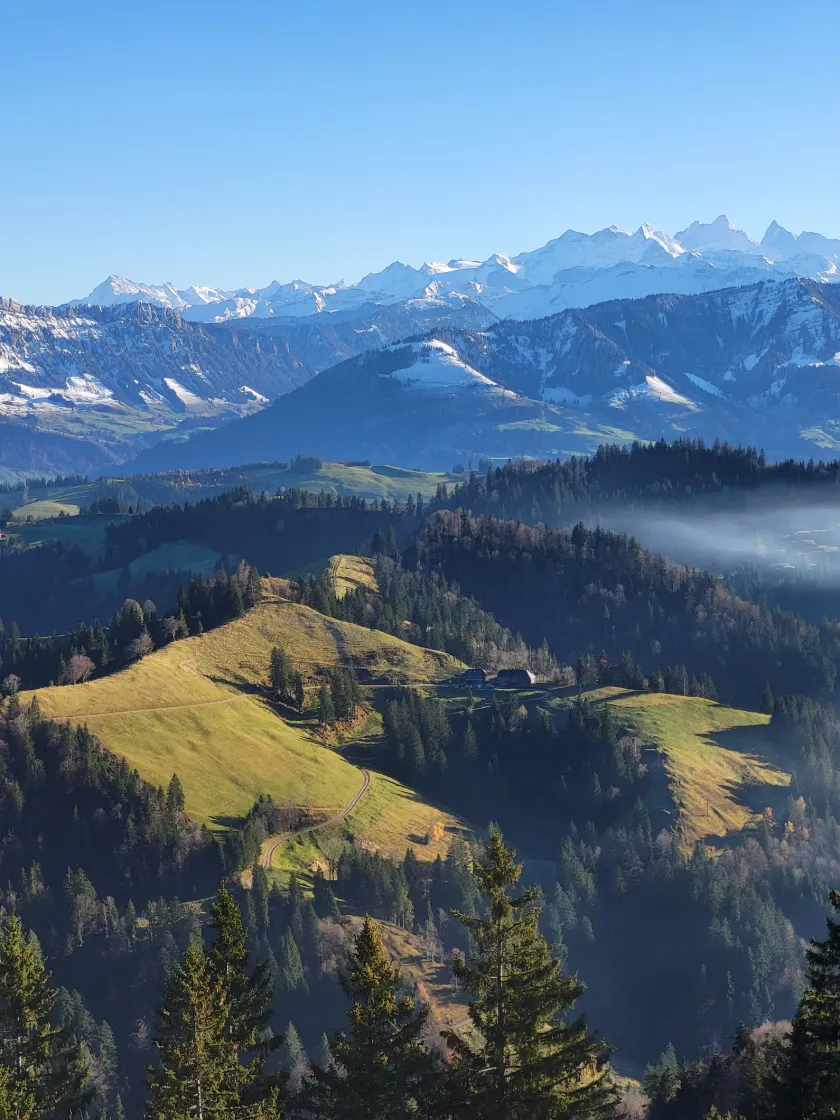 Mettlenalp - Napf - Mettlenalp