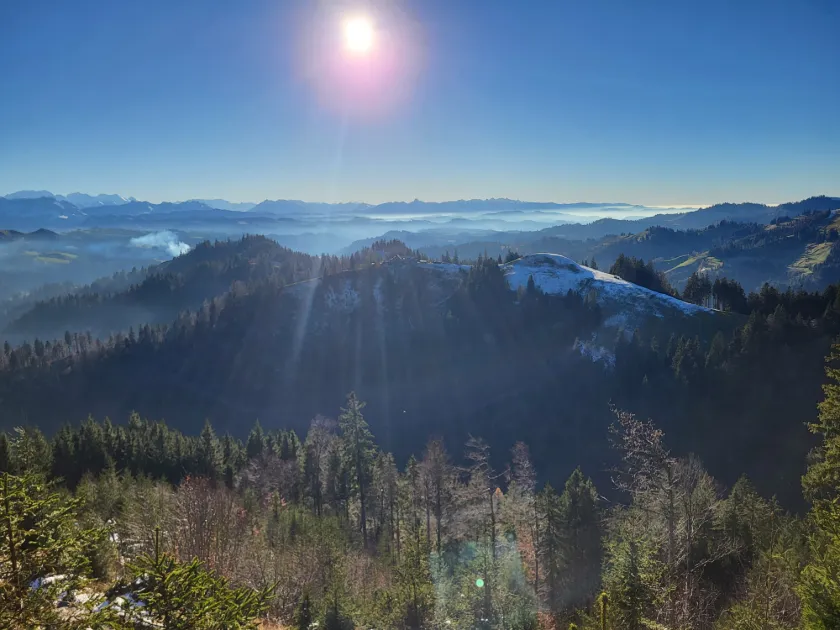 Mettlenalp - Napf - Mettlenalp