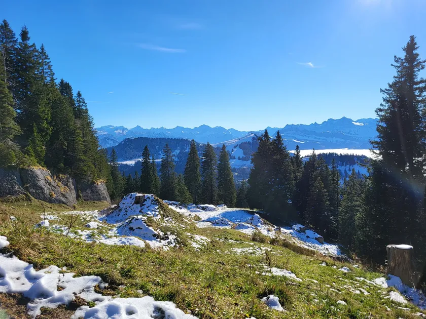 Wanderung Fruttli - Rigi Kulm