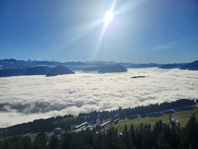 Bild zur Wanderung Fruttli - Rigi Kulm