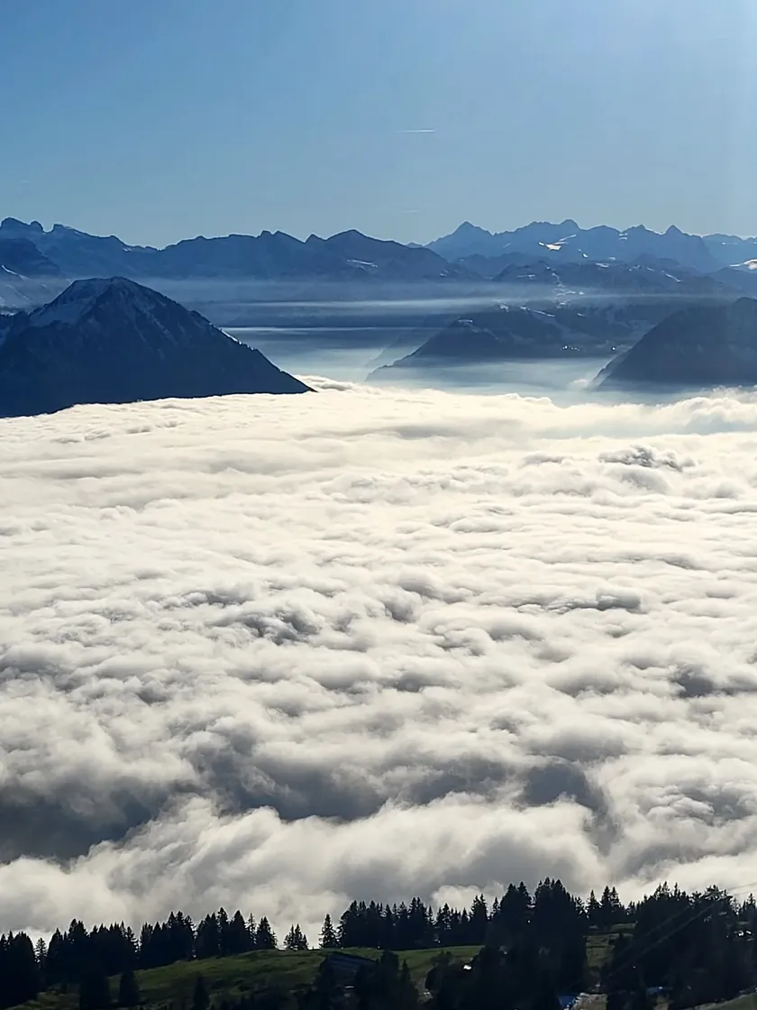 Bild zur Wanderung Fruttli - Rigi Kulm