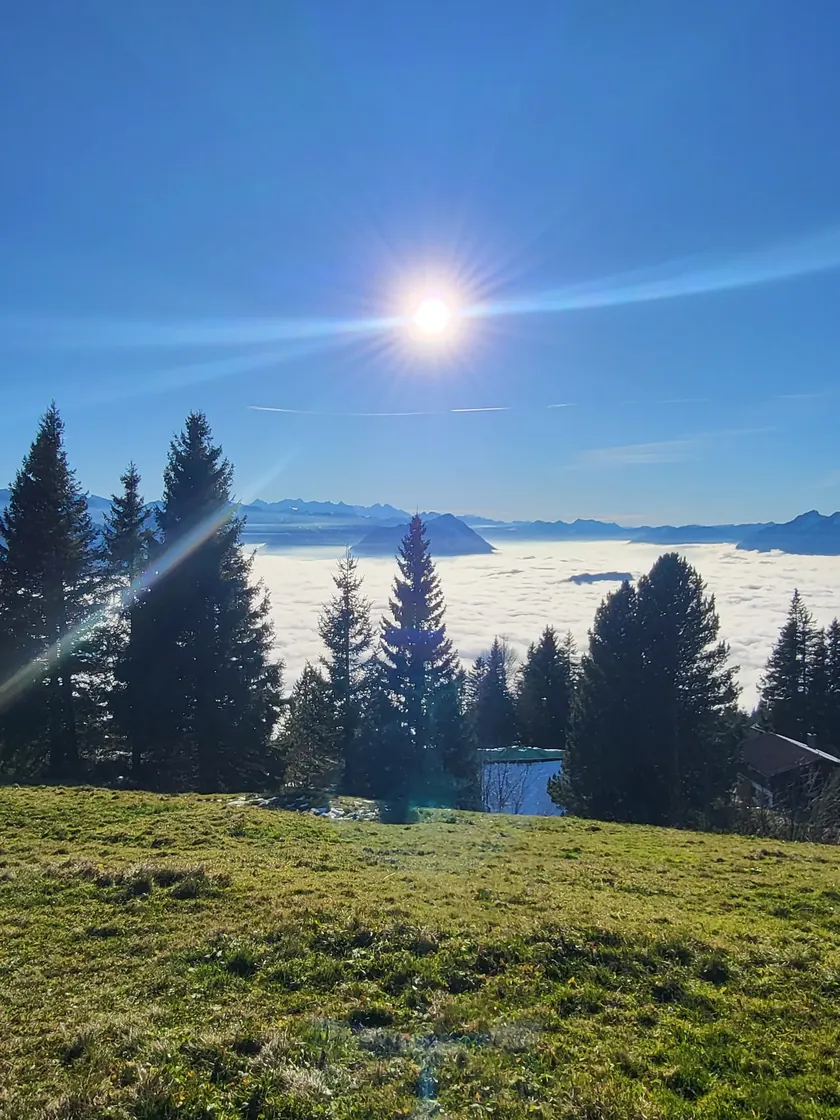 Bild zur Wanderung Fruttli - Rigi Kulm