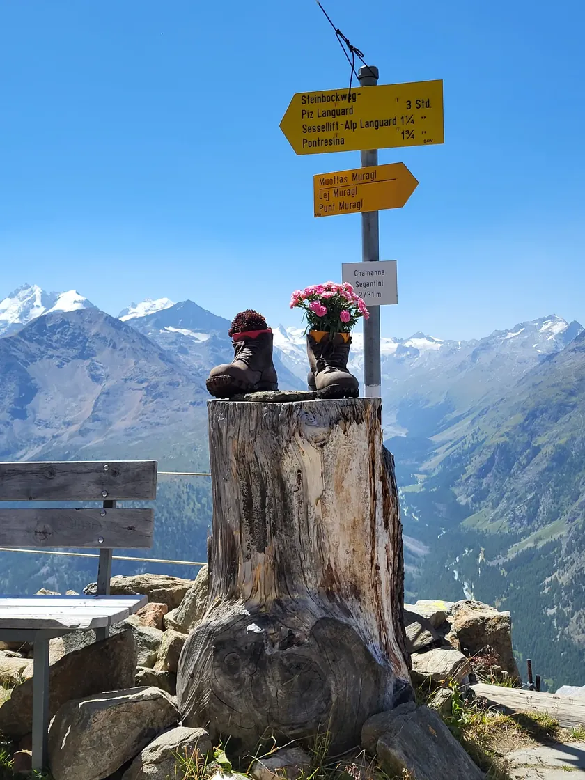 Bild zur Wanderung Alp Languard via Segantini Hütte auf den Muottas Muragl