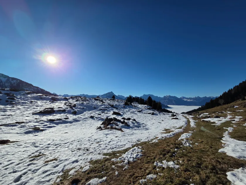 Wanderung Von Arvenbühl über den Gulme zur Alpwirtschaft Vorder Höhi