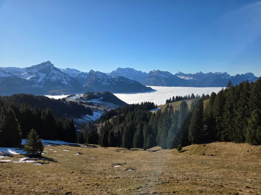 Bild zur Wanderung Von Arvenbühl über den Gulme zur Alpwirtschaft Vorder Höhi