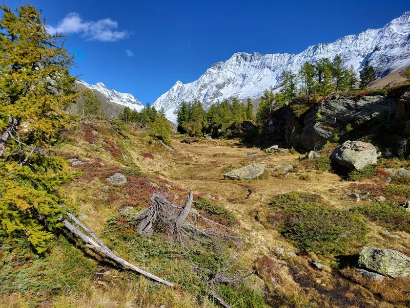 Bild zur Wanderung Rundwanderung Fafleralp - Anenhütte - Fafleralp