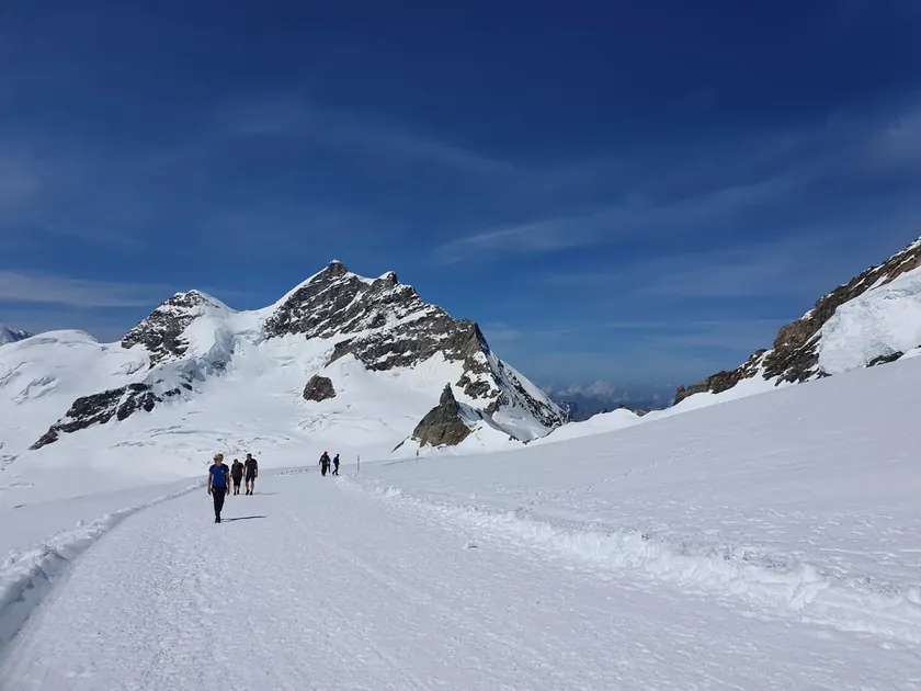 Bild zur Wanderung Jungfraujoch - Mönchsjochhütte - Jungfraujoch