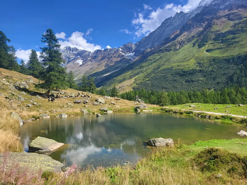 Bild zur Wanderung Höhenweg Lauchernalp - Fafleralp