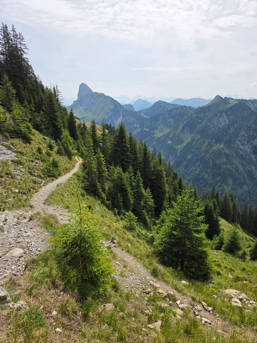 Bild zur Wanderung Panoramaweg Gurnigel Stockhorn
