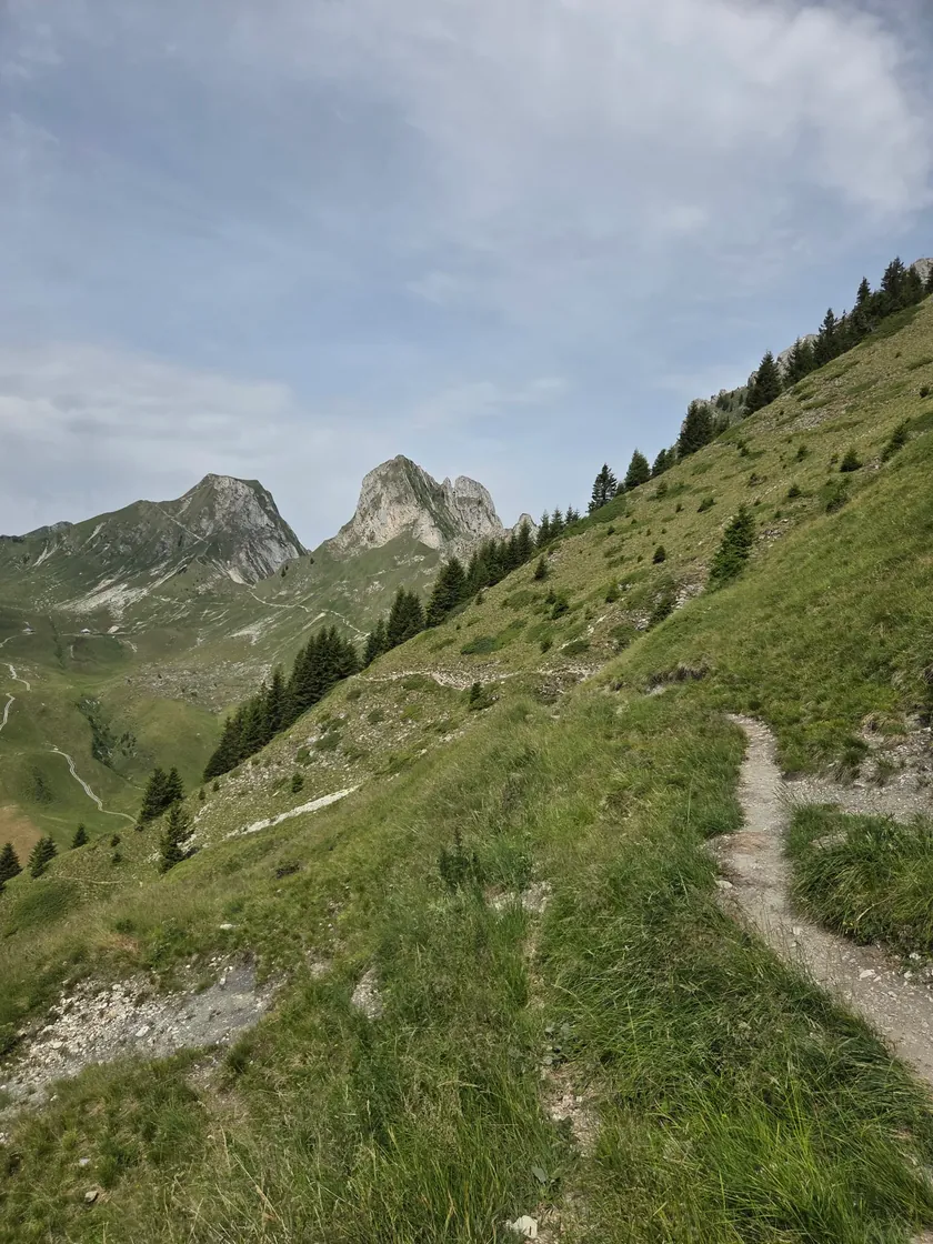 Bild zur Wanderung Panoramaweg Gurnigel Stockhorn