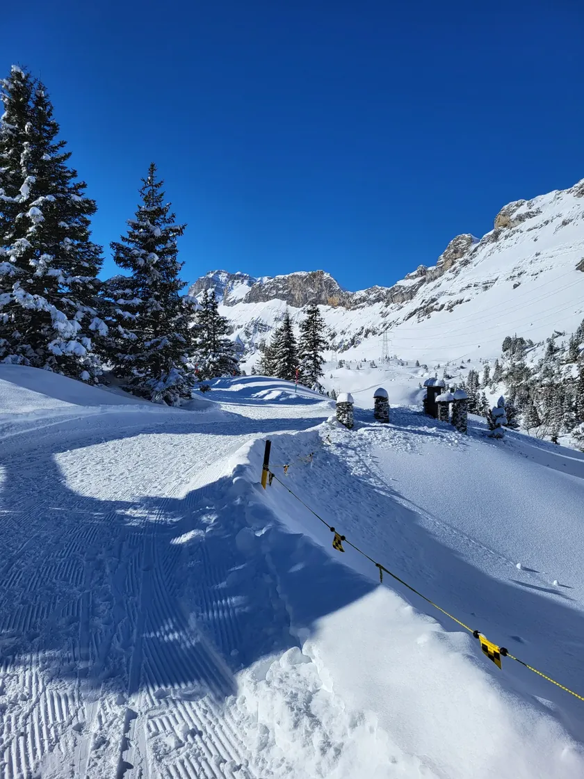 Wanderung Sunnbüel - Gemmipass