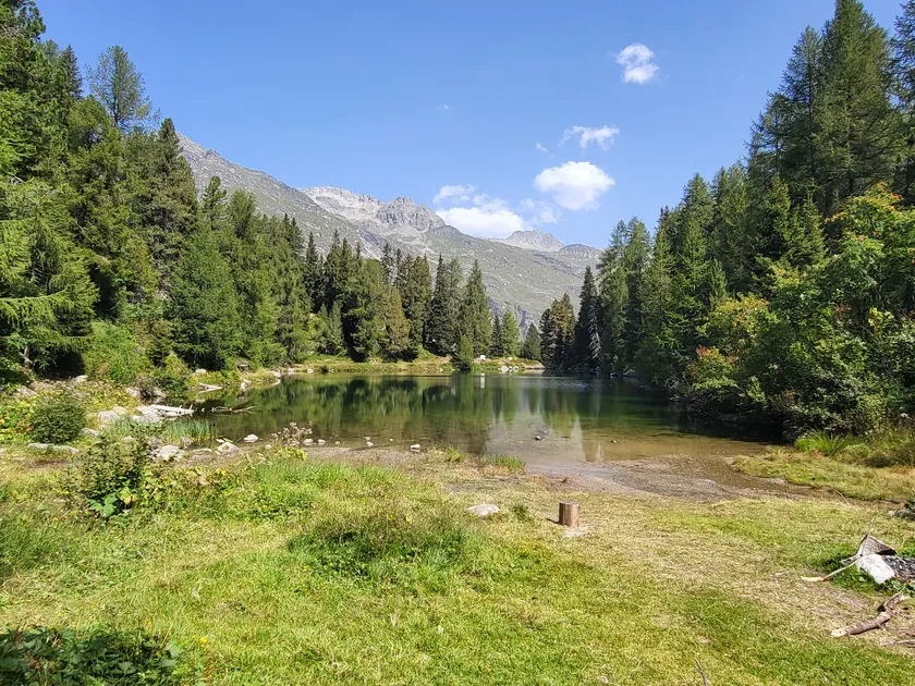 Bild zur Wanderung Die Bergeseen von Maloja