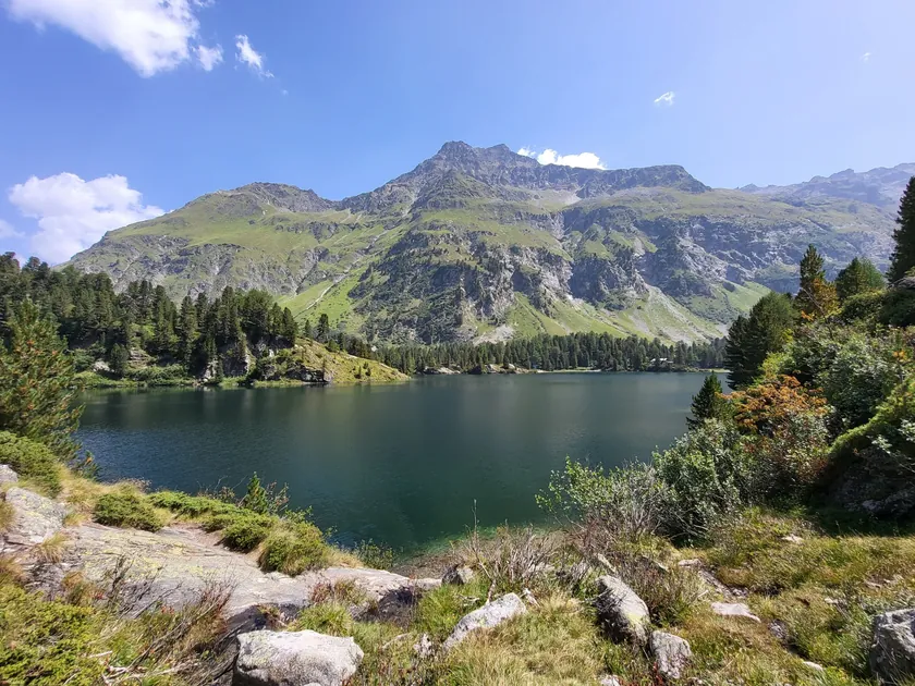 Bild zur Wanderung Die Bergeseen von Maloja