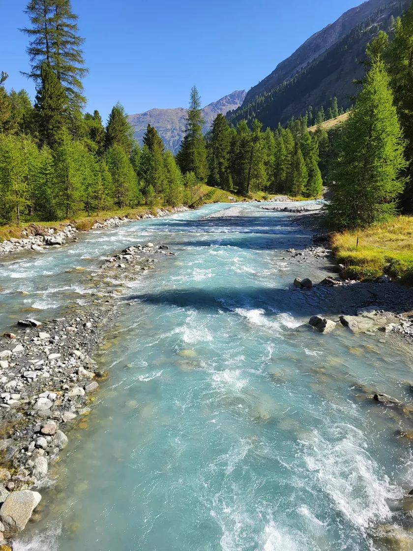 Bild zur Wanderung Pontresina - Val Roseg - Pontresina