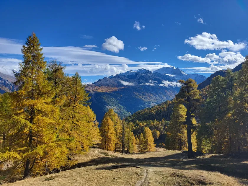 Wanderung Bürchen - Stand - Moosalp - Törbel