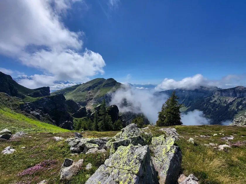 Bild zur Wanderung Habkern - Gemmenalphorn  - Niederhorn