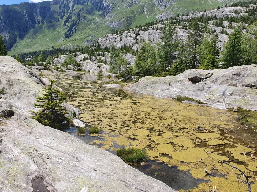 Bild zur Wanderung Belalp – Hängebrücke – Riederalp
