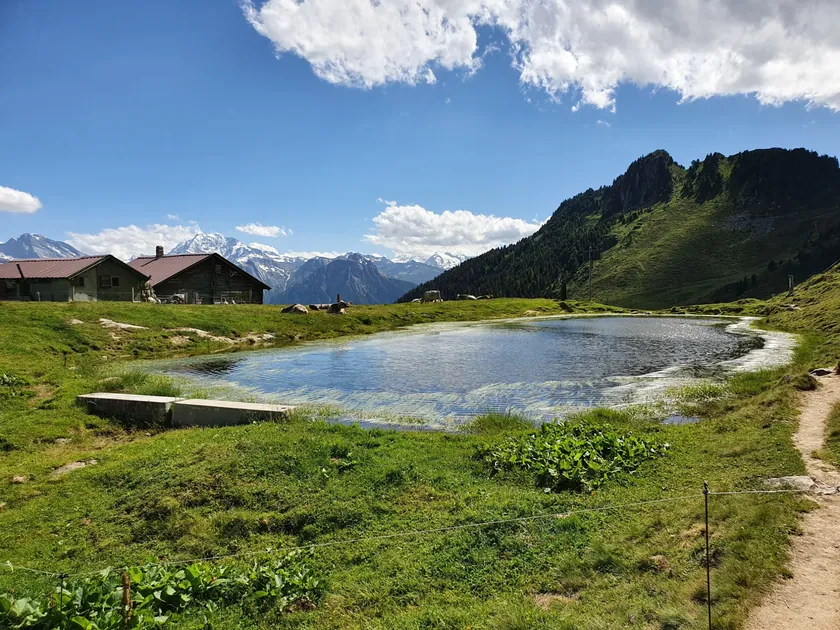 Bild zur Wanderung Belalp – Hängebrücke – Riederalp