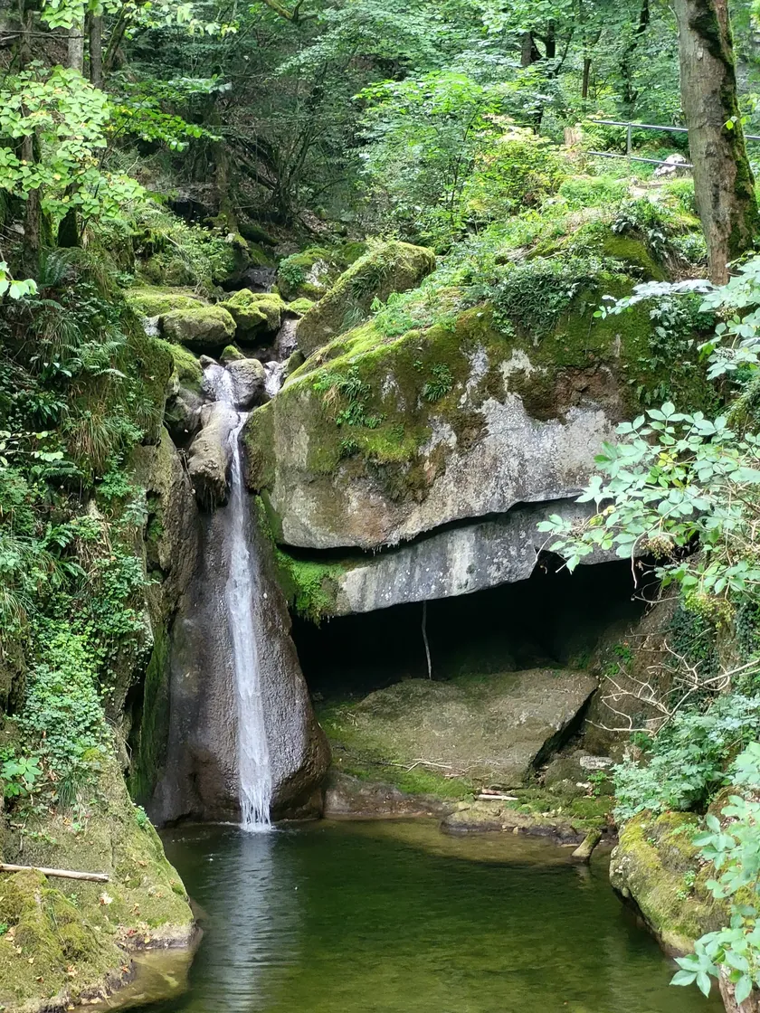 Bild zur Wanderung Magglingen - Twannbachschlucht - Twann