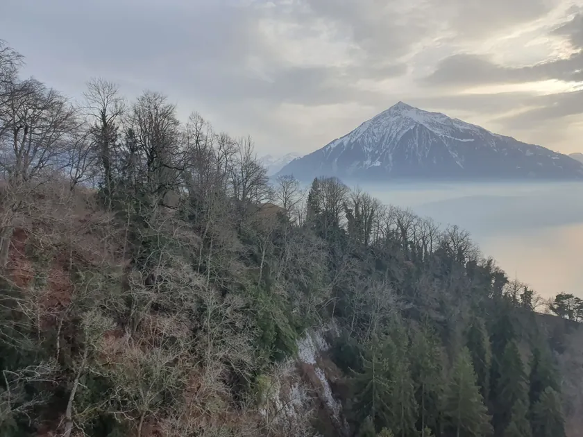 Bild zur Wanderung Heiligenschwendi - Hängebrücke - Sigriswil