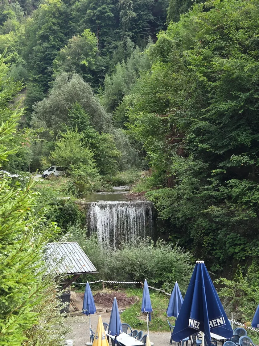Photo of the hike Von Fribourg durch die Gorges du Gotteron