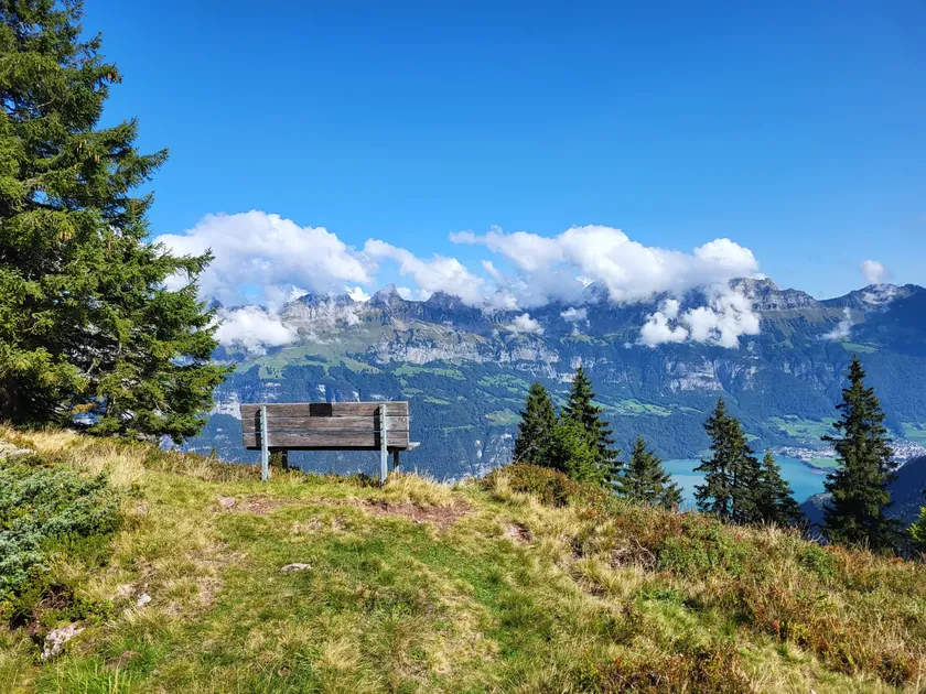 Tannenboden zum Maschgenkamm