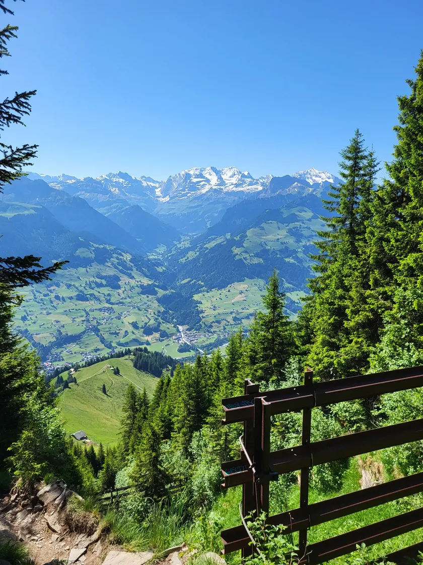 Wanderung Niesen ab Mittelstation Schwandegg