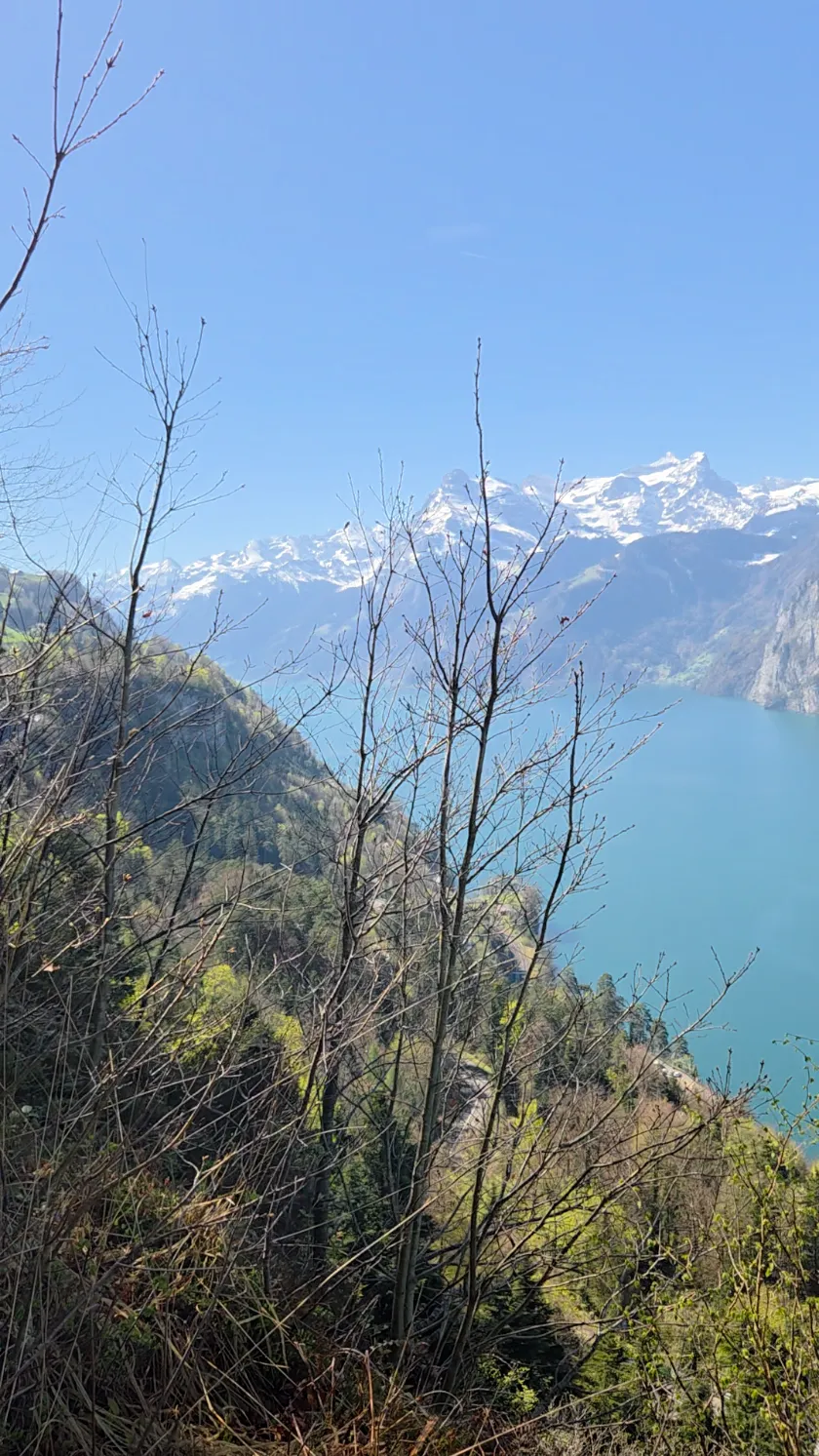 Bild zur Wanderung Brunnen nach Flüelen