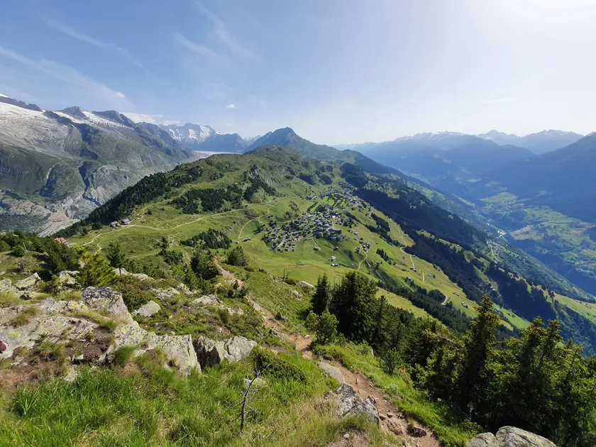 Wanderung Riederalp - Riederhorn - Riederalp