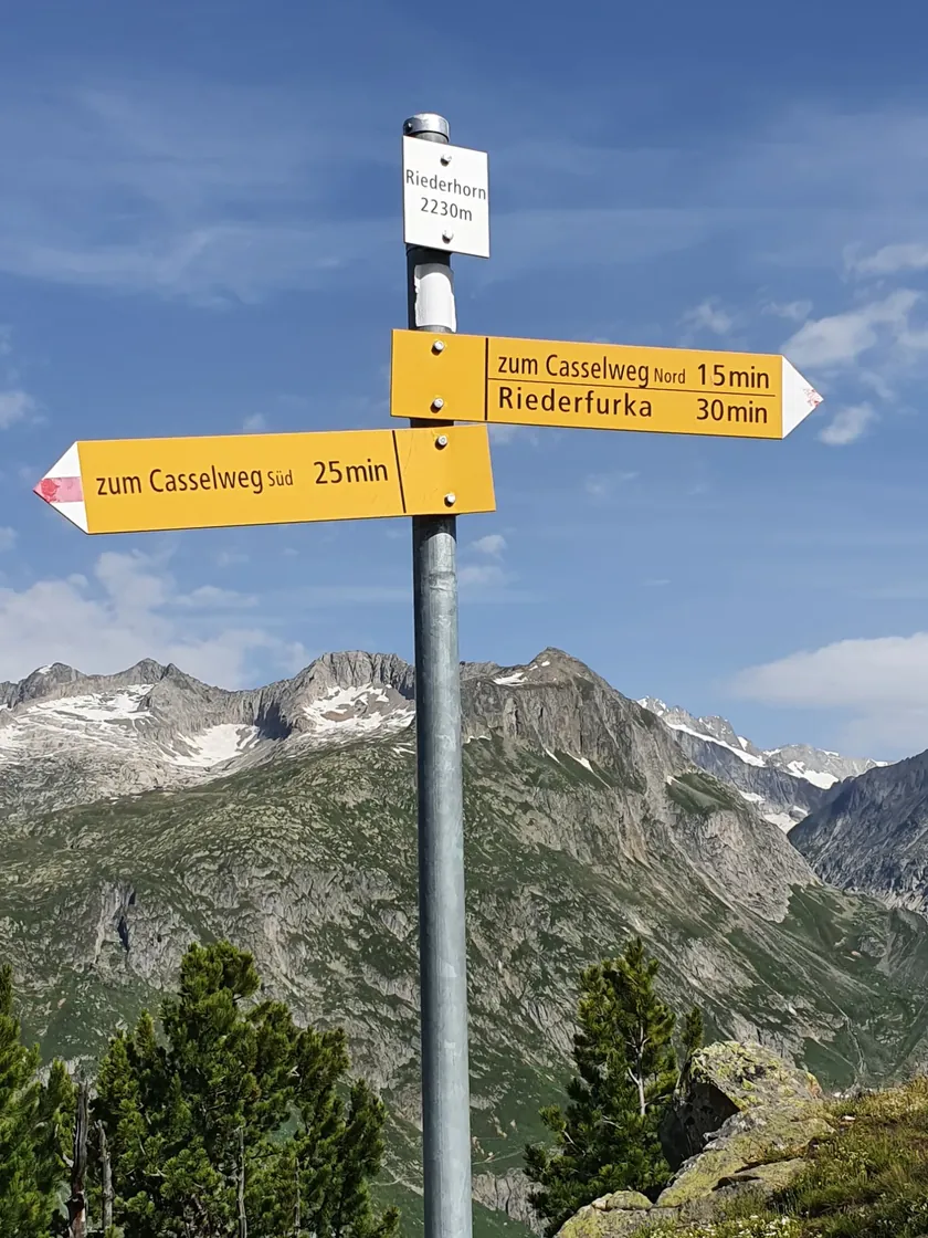 Bild zur Wanderung Riederalp - Riederhorn - Riederalp