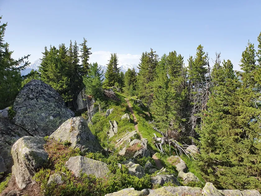 Bild zur Wanderung Riederalp - Riederhorn - Riederalp