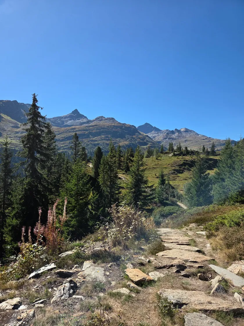 Bild zur Wanderung Panoramaweg Vals-Gadastatt zum Zervreila-See