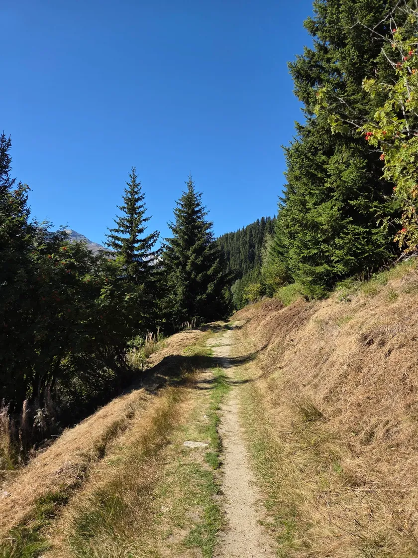 Bild zur Wanderung Panoramaweg Vals-Gadastatt zum Zervreila-See