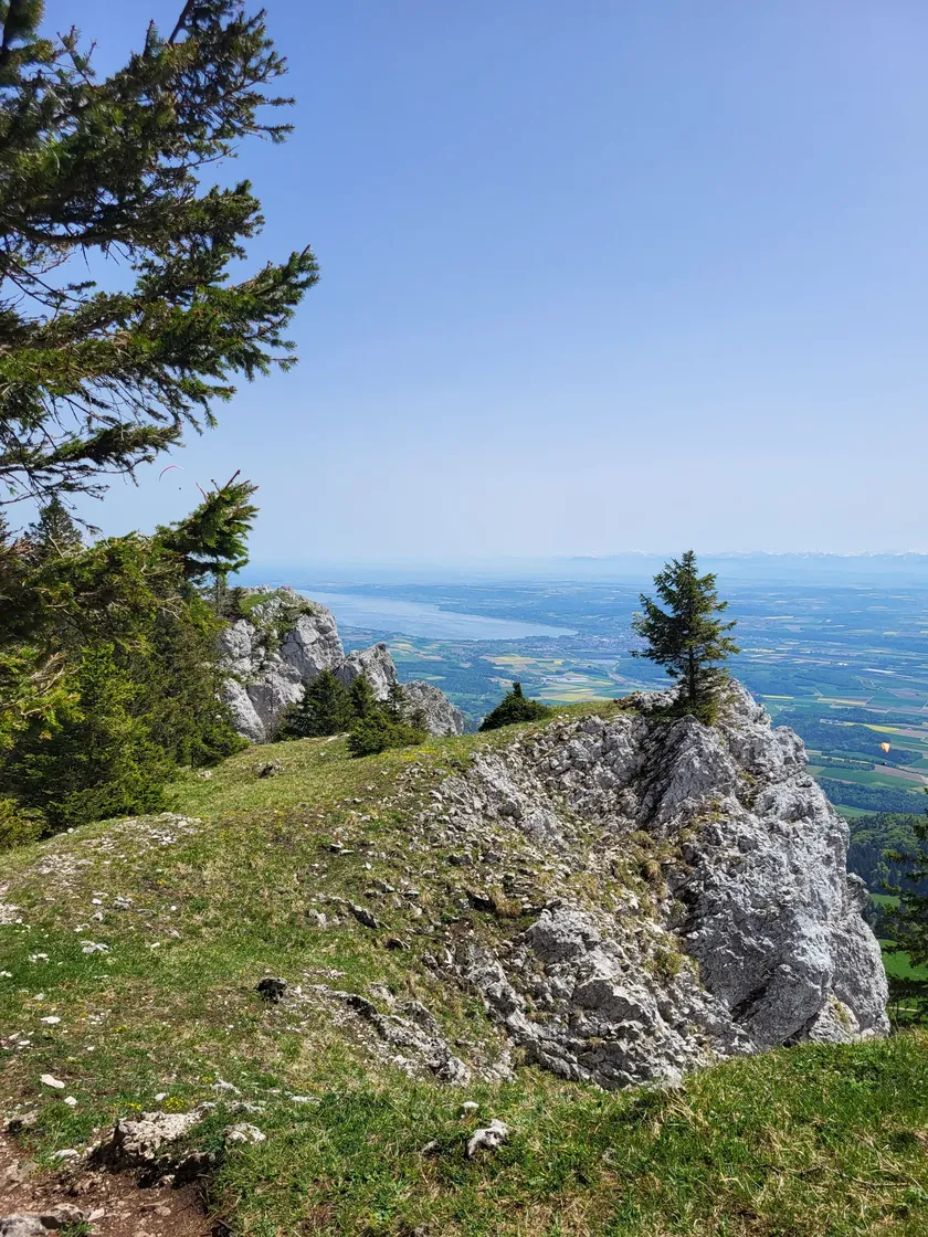 Bild zur Wanderung Ste-Croix - Aiguilles de Baulmes - Ste-Croix