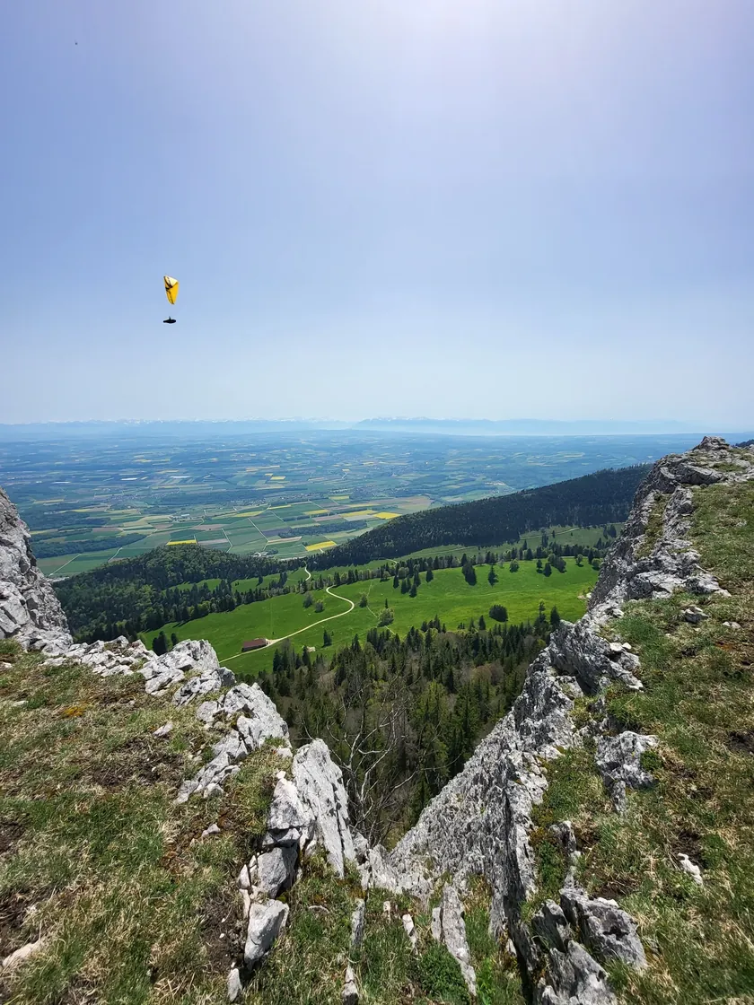 Bild zur Wanderung Ste-Croix - Aiguilles de Baulmes - Ste-Croix
