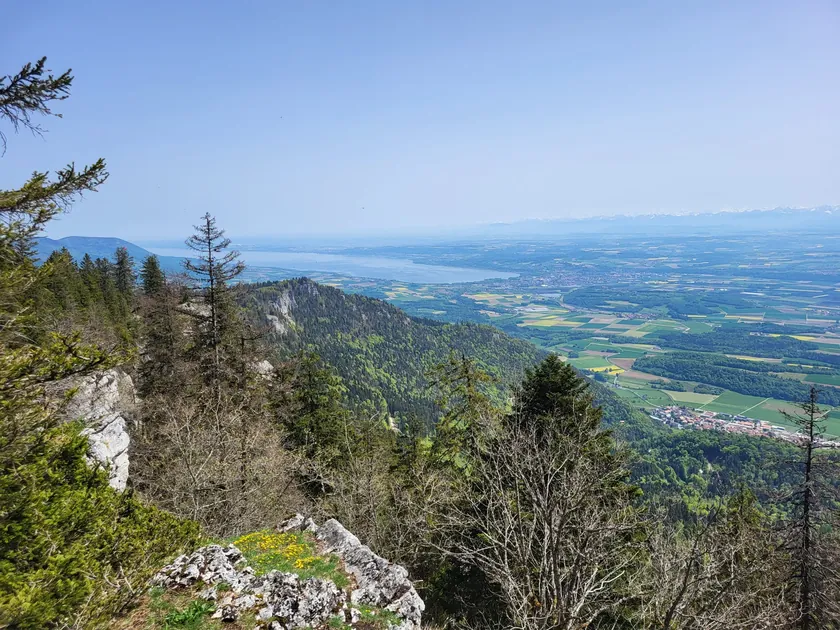 Bild zur Wanderung Ste-Croix - Aiguilles de Baulmes - Ste-Croix