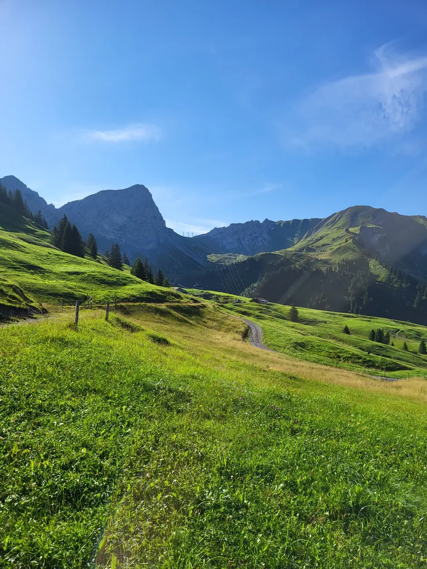 Wanderung Glaubenbielen - Höch Gumme - Brienzer Rothorn